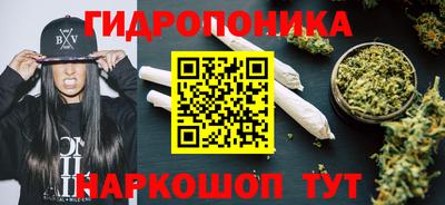 2c-b Лесосибирск