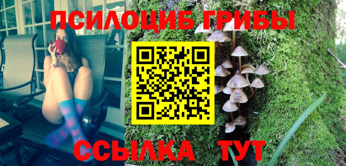Городец  Псилоцибиновые грибы мицелий  Вход с VPN  Псилоцибиновые грибы прущие грибы 